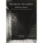 Hölderlin's Madness: Chronicle of a Dwelling Life, 1806-1843 - Paperback