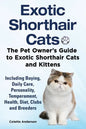 Exotic Shorthair Cats The Pet Owner's Guide to Exotic Shorthair Cats and Kittens Including Buying, Daily Care, Personality, Temperament, Health, Diet, - Paperback