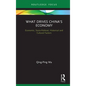 What Drives China's Economy: Economic, Socio-Political, Historical and Cultural Factors - Hardcover