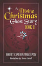 A Divine Christmas Ghost Story: Book II - Paperback