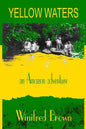 Yellow Waters: an Amazon adventure - Paperback