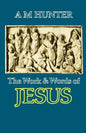 The Work and Words of Jesus - Paperback