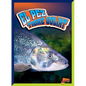 El Pez Tigre Goliat - Hardcover