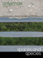 Antennae #56 Spaces and Species - Paperback