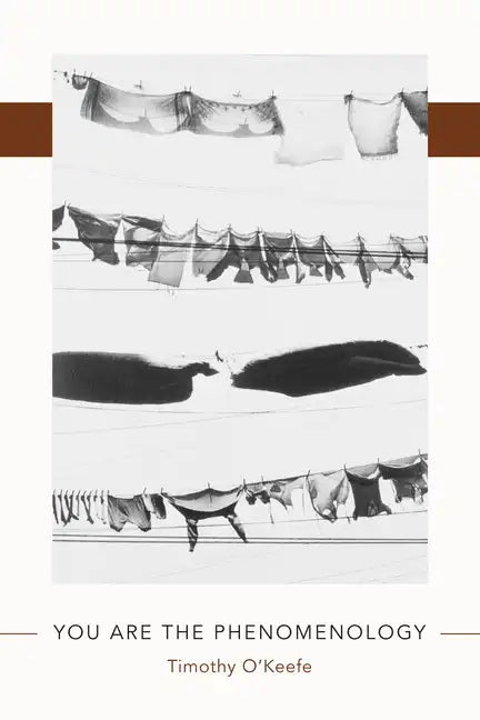 You Are the Phenomenology - Paperback