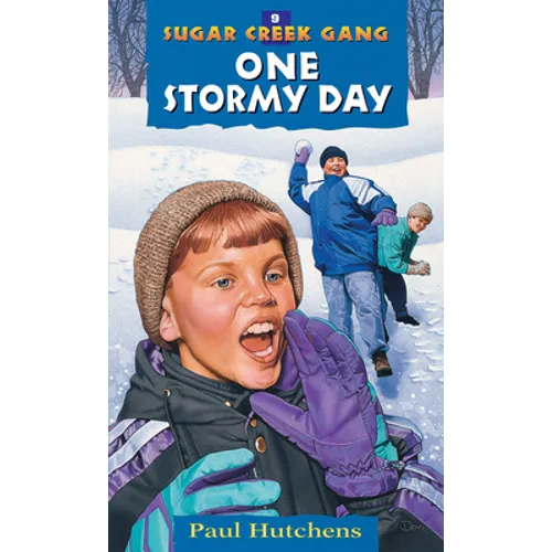 One Stormy Day: Volume 9 - Paperback