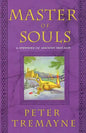 Master of Souls: A Mystery of Ancient Ireland - Paperback