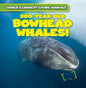 200-Year-Old Bowhead Whales! - Library Binding