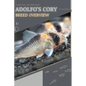 Adolfo's Cory: From Novice to Expert. Comprehensive Aquarium Fish Guide - Paperback