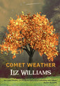 Comet Weather - Paperback