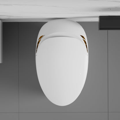 Unique Smart Toilet with Bidet Built In, Intelligent One Piece Toilet For Mod...