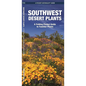 Southwestern Desert Plants: An Introduction to Familiar Species - Paperback