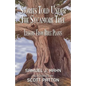 Stories Told Under the Sycamore Tree: Lessons from Bible Plants - Paperback