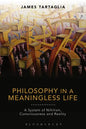 Philosophy in a Meaningless Life - Paperback