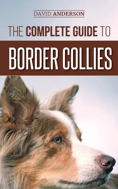The Complete Guide to Border Collies: Training, teaching, feeding, raising, and loving your new Border Collie puppy - Hardcover