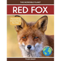 Red Fox: Fascinating Animal Facts for Kids - Paperback