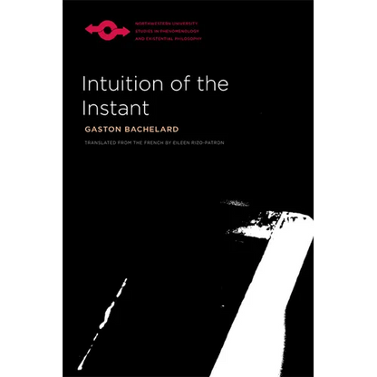 Intuition of the Instant - Paperback