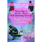 Martin Garrix: Flying High to Success, Weird and Interesting Facts on Martijn Gerard Garritsen! - Paperback