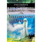 The Yellowstone Affair - Paperback
