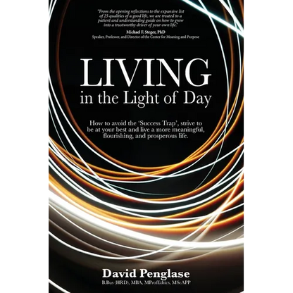 Living in the Light of Day - Paperback