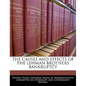 The Causes and Effects of the Lehman Brothers Bankruptcy - Paperback