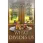 What Divides Us: The Kilteegan Bridge Story - Book 2 - Hardcover