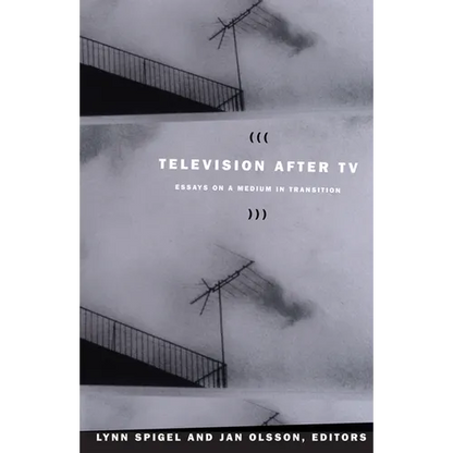 Television after TV: Essays on a Medium in Transition - Paperback