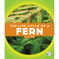 The Life Cycle of a Fern - Library Binding