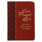 Ever Present Love: 365 Days of Discovering Jesus in the Gospels - Imitation Leather