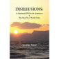 Disillusions: A Spiritual GPS For the Journeyer & The Real New World Order - Paperback