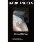 Dark Angels: a story about a mental hospital - Paperback