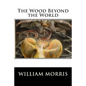 The Wood Beyond the World - Paperback
