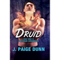 Druid: Book Three of the Druid Chronicles - Paperback
