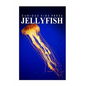Jellyfish - Curious Kids Press: Kids book about animals and wildlife, Children's books 4-6 - Paperback