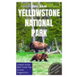Yellowstone National Park Travel Guide: Travel Realms - Paperback