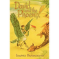 David and the Phoenix - Paperback