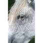 Sandy and Wayne - Paperback