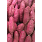 Sweet Potatoes: The Sweet Potato Is a Dicotyledonous Plant That Belongs to the Bindweed or Morning Glory Family, Convolvulaceae. Its L - Paperback