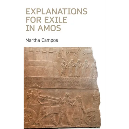 Explanations for Exile in Amos - Hardcover