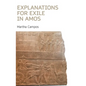 Explanations for Exile in Amos - Hardcover