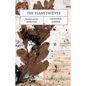 The Plant Thieves: Secrets of the herbarium - Paperback