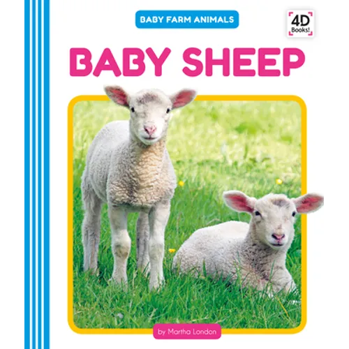 Baby Sheep - Library Binding