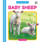 Baby Sheep - Library Binding