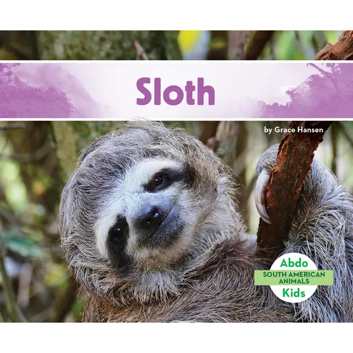 Sloth - Library Binding