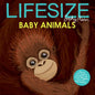 Lifesize Baby Animals - Hardcover