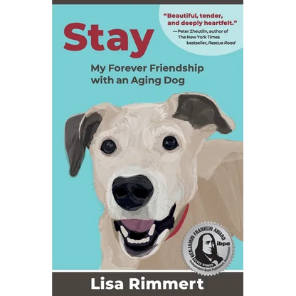 Stay - Paperback