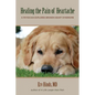 Healing the Pain of Heartache: A Physician Explores Broken Heart Syndrome - Paperback