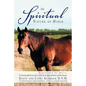 The Spiritual Nature of Horse Explained by Horse: An Incomparable Conversation Between One Exceptional Horse and His Human - Paperback