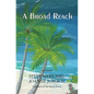 A Broad Reach: From the Pacific Northwest to the Caribbean Sea... - Paperback