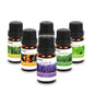 6-Pack: Therapeutic Aromatherapy Essential Oils Bottle